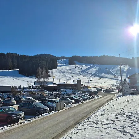 Bumblebee Appartement *