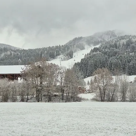 Bumblebee Sankt Lambrecht
