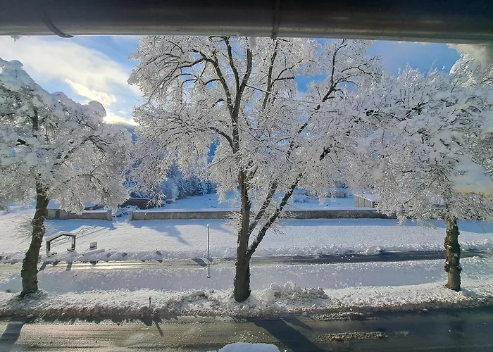 Appartement Bumblebee *