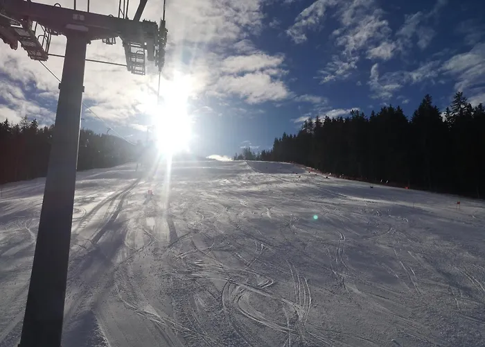 Apartament Bumblebee Sankt Lambrecht