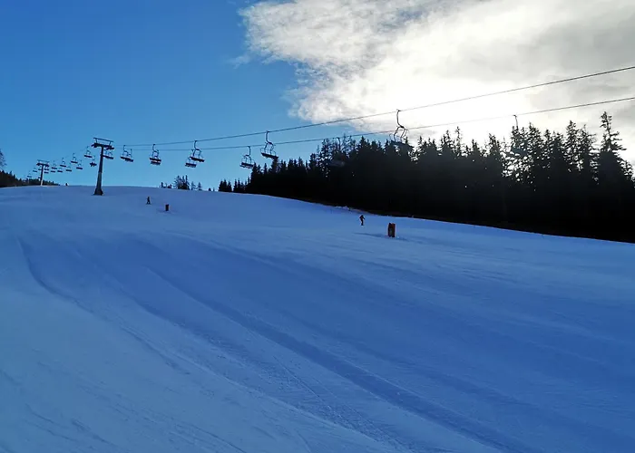 Bumblebee Sankt Lambrecht