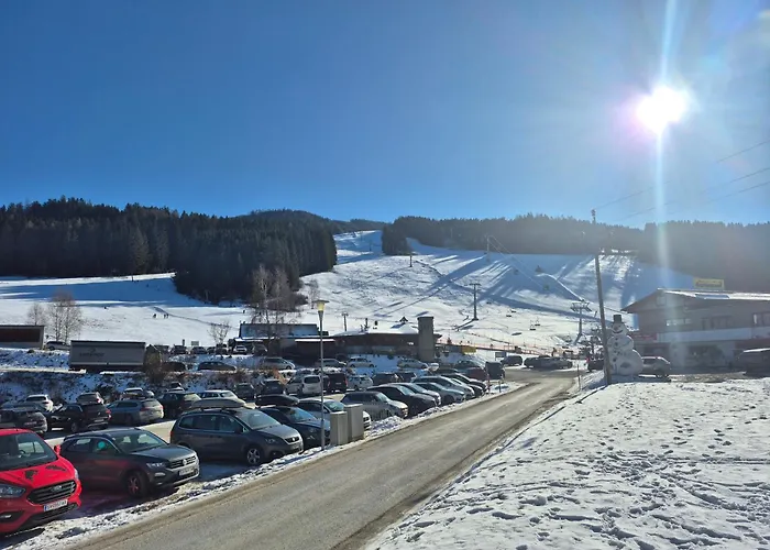 Bumblebee Apartament *