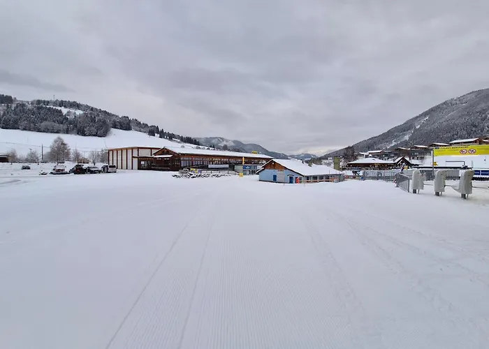 Bumblebee Appartement *