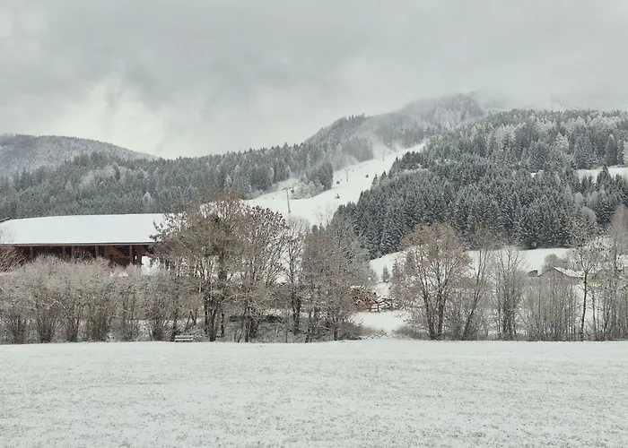 Bumblebee Sankt Lambrecht